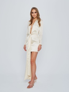 Dress PALE silk