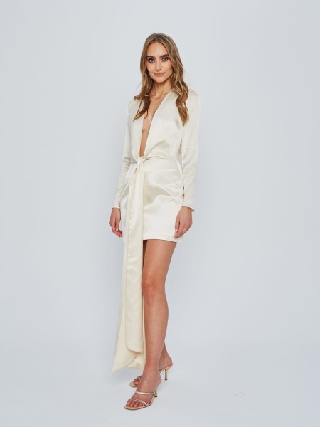 Dress PALE silk